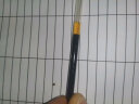晨光(M&G)文具0.5mm黑色学生考试中性笔芯 全针管签字笔替芯 本味系列水笔芯 20支/盒9008 实拍图