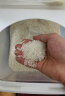 芯米哈尔滨五常大米芯片溯源五常真空包装5kg 晒单实拍图