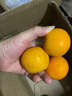 甜蜜有礼麻阳冰糖橙新鲜水果手剥甜橙子冰糖橙应季生鲜 9斤装大号 实拍图