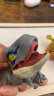 TaTanice咬手指恐龙玩具儿童侏罗纪霸王龙甲龙仿真模型解压玩具生日礼物 实拍图