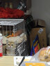 汤琪猫笼加粗便携折叠猫笼子猫别墅家用双层宠物用品猫窝猫屋龙猫笼子 白色 600#双层 实拍图