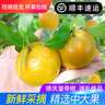 正宗德庆皇帝柑新鲜水果贡柑茂谷10斤广东当季桔子媛爱橘柑沃大果 5斤装中大果 实拍图