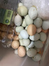 我老家鲜谷物喂养新鲜散养绿壳蛋乌鸡蛋 30枚 净重2.28斤 实拍图