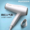 飞科（FLYCO）电吹风机家用吹风筒速干恒温冷热风学生宿舍可折叠大功率电吹风筒 FH6232【恒温3档调节 2000W】 实拍图