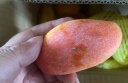 果迎鲜芒果 四川凯特芒果 攀枝花新鲜水果 生鲜 5斤装 晒单实拍图