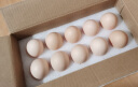 牧族 源头直发 可生食鸡蛋NSF双认证 无抗生素 无菌沙门氏菌 新鲜鸡蛋 【谷物】可生食-30枚1.5kg 晒单实拍图