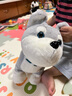 babycare 电动毛绒玩具会说话鸭子鹦鹉复读鸭儿童哄娃神器ai智能儿童礼物 毛绒小狗哈士奇 电动毛绒玩偶 实拍图