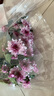 京东鲜花 小菊/小雏菊 随机色 5枝 实拍图
