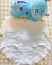 草本初色妇炎洁纯棉内裤女10A抗菌吸汗透气中腰加长裆三角裤短裤独立包装 薄荷绿+缎光肤+海盐蓝 L 【101-120斤】 【妇炎洁联名款】 实拍图