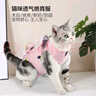 派乐特猫咪绝育服母猫泰迪衣服透气戒奶服断奶公猫防舔手术后宠物狗狗L 实拍图