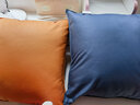 芝华士皮沙发抱枕科技布轻奢客厅靠枕套现代靠垫腰枕大防水北欧 宝石蓝 45cm*45cm 枕套 (+三维棉内芯) 实拍图