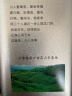 天府龙芽金骏眉红茶茶叶特级高山川茶工夫红茶中小叶种自己喝高端礼品100g 实拍图