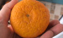 京鲜生 四川丑橘不知火 优级果5kg装 单果180g以上  新鲜水果 实拍图