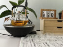 尚言坊围炉煮茶套装电陶炉煮茶器玻璃煮茶壶烧水壶烤奶罐罐壶泡茶全套 11《电陶炉》双鱼壶围炉煮茶套装 实拍图