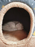 阿莫尔宠物猫窝秋冬季保暖房子型小型犬猫泰迪博美可拆洗小狗窝宠物狗屋 星星浅灰色(带手提窝款) L-建议20斤内 实拍图