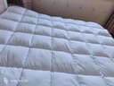 浪莎（LangSha）全棉国标羽绒被95白鹅绒被子冬被加厚保暖秋冬被褥空调棉质被芯纯 羽绒被-奶白色 200x230cm约8斤【已质检】 实拍图