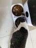 星速猫粮幼猫成猫低温烘焙无谷冻干全价主食鲜肉益生菌全期猫粮 鸡肉味 1.5kg 晒单实拍图