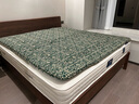 罗莱家纺 床垫床褥子 硬质棉榻榻米软垫子 学生宿舍床护垫 1.0米床 实拍图