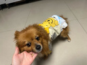 鲁希德狗狗生理裤纸尿裤尿不湿拉拉裤狗卫生巾姨妈裤狗月经裤防外溢 实拍图