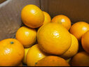探味君 广西武鸣沃柑 新鲜水果应当季时令橘子桔子整箱 生鲜 净重2.8-3斤 单果55-60mm 实拍图
