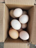 故乡食召 鸡蛋 散养谷物蛋 农家喂养 初生鲜鸡蛋 12枚 480g 生态农家蛋 晒单实拍图