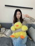 紫彤可爱炸毛墩墩鸭玩偶猫咪抱枕沙发客厅靠枕睡觉夹腿网红女生日礼物 炸毛白鸭 40厘米 实拍图