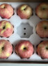 食非多品 烟台栖霞红富士苹果 5斤 精选一级优质条纹果 原产地直发 晒单实拍图