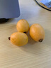 鲜享欢四川米易大五星枇杷大果高山枇杷当季新鲜水果现摘现发孕妇水果 新鲜大果2斤装【品质精选】 实拍图