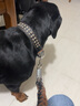 獒少保狗绳狗链牵引绳狗链子大中型犬遛狗绳金毛带项圈宠物狗狗外出用品 黑色 XL码 建议60-120斤内 实拍图