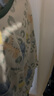俞兆林（YUZHAOLIN）儿童睡衣夏季薄款男女童家居服套装纯棉四季宝宝空调服中小童衣服 实拍图