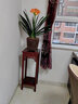 瑞呈堂 花架实木 阳台客厅简约中式老榆木花架多层室内绿萝吊兰多肉花架 木红色30x80cm 实拍图