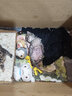 美士（Nutro）全护营养系列幼猫猫粮鸡肉配方5磅2.27kg 实拍图