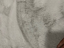布迪思 客厅地毯 卧室地毯仿兔绒长毛可定制沙发茶几床边毯 纯色兔毛 浅灰色【仿兔毛】 140*200CM【长毛】 实拍图