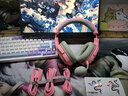 Razer雷蛇 梭鱼X头戴式游戏耳机耳麦带麦克风电脑电竞无线USB-Type C跨平台兼容送男友礼物 梭鱼X粉晶(Type-C 2.4G无线跨平台兼容) 实拍图
