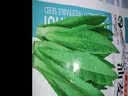 昂启蔬菜种子四季播盆栽阳台庭院香菜生菜菠菜小葱简单秋易种籽孑大全 奶油生菜 约1000粒 实拍图