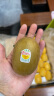 佳沛（zespri）百果园店 金果奇异果新西兰进口黄心猕猴桃新鲜水果原箱送长辈 25粒特大果【 单果重134g-146g】 实拍图