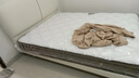 雅兰5A级床垫品牌前十名天然乳胶床垫独立弹簧床垫1.8x2米 深睡智享 深睡智享床垫+巴黎之夜真皮床 1.5米x2米(注意长度) 实拍图