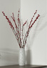 雪柳干枝水插花水培鲜花室内遇水开花客厅阳台观花绿植雪柳花鲜枝水养年宵花卉植物 银柳红色10支80厘米高 不含瓶 实拍图
