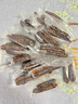 摩飞电器（Morphyrichards） 抽真空封口机家用食品塑封机密封包装机商用保鲜机切割干湿两用 MR1118 标配+真空保鲜袋*9 实拍图