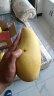莱财多海南金煌芒水仙芒新鲜水果青芒凯特大芒果 精品大果9斤（8两到1.2斤） 晒单实拍图