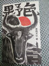 自营 野色 索南才让著 索南才让 荒原上 鲁迅文学奖中篇小说奖 船的城市 当代原创文学 游牧生活 民族文化 孤独与爱 自由与责任 小说 实拍图
