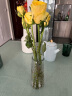 吕姆克花瓶玻璃花瓶摆件工艺品插花仿真干花富贵竹水养花瓶中号透明5043 实拍图