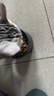 汉优发酵成猫粮 布偶蓝猫橘猫加菲英短猫咪通用全价猫干粮 发酵成猫8kg 实拍图
