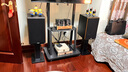 悠唐 D598胆机组合音响蓝牙CD机hifi发烧级家用单端甲类电子管功放机三分频8英寸书架音箱纯胆套装 胡桃木色(含解码器版)HiFi音响套装 实拍图