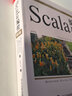 Scala编程（第5版）(博文视点出品) 实拍图