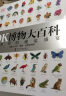 【官方自营】DK博物大百科：自然界的视觉盛宴（集科学、美学和收藏价值于一体的全年龄段科普百科全书！一部家中常备的自然博物馆！） 实拍图