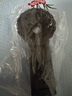 菲莱仕（FEIRSH）望远镜观鸟镜高倍高清可变倍微光夜视天地两用单筒户外观景观月 25-75×80大口径高清款【标配+1.4米支架】 实拍图