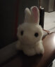 兔子毛绒玩具韩国可爱仿真兔兔公仔小白兔玩偶少女心娃娃小号女生 仿真兔-白色款 20厘米 晒单实拍图