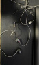 森海塞尔（Sennheiser）IE300 高保真HiFi音乐耳机有线耳挂 入耳式耳机 黑色 实拍图