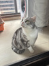 皇家（ROYAL CANIN）cc宠物中大型犬成犬粮拉布拉多金毛狗粮 CC通用型狗粮8KG*2 实拍图